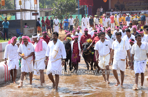 Devu Poonja Jodukare Kambala